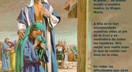 La Virgen María en todas las dificultades experimentó la providencia y el consuelo del Señor / Por P. Carlos García Malo