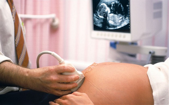 Al menos 15.500 restos fetales de bebés procedentes de abortos, quemados junto a basura para generar calefacción en hospitales británicos