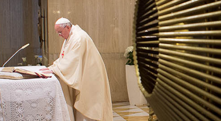 Papa Francisco en homilía en Santa Marta: «Dios para expresar su ternura necesita de nuestra pequeñez y asombro»