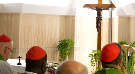 Papa Francisco en homilía en Santa Marta: «Amar a los enemigos asusta, pero nos lo pide Jesús»