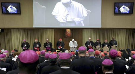 P. Manuel Dorantes, asistente de Prensa del Vaticano: “En el Sínodo los Obispos denuncian presión de lobby gay en África y Latinoamérica para imponer ideología de género”