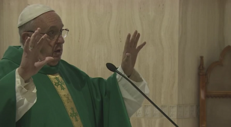 Papa Francisco en homilía en Santa Marta: «Jesús llora por el mundo que mata y no comprende la paz»