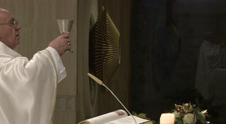 Papa Francisco en homilía en Santa Marta: «Las obras de misericordia son el corazón de nuestra fe»