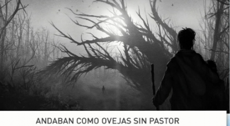 Palabra de Vida 6/2/2016: «Andaban como ovejas sin pastor» / Por P. Jesús Higueras