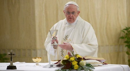 Papa Francisco en homilía en Santa Marta: «¿Qué necesita hoy la Iglesia? Testigos, santos de la vida ordinaria, mártires»