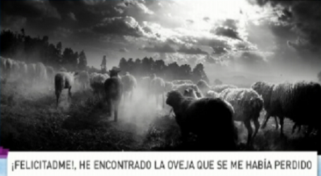Palabra de Vida 3/6/2016: «¡Felicitadme!, he encontrado la oveja que se me había perdido» / Por P. Jesús Higueras