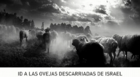 Palabra de Vida 6/7/2016: «Id a las ovejas descarriadas de Israel» / Por P. Jesús Higueras