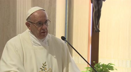 Papa Francisco en homilía en Santa Marta: «María, Madre que nos cuida, nos defiende y bajo su manto no puede entrar el diablo»