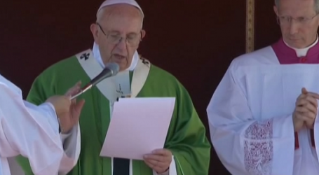 Papa Francisco pide para los catequistas en el Ángelus «que la Virgen los ayude a testimoniar con la vida lo que transmiten»