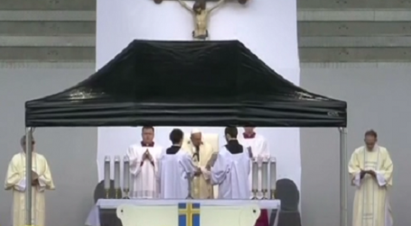 Papa Francisco en el Ángelus en Suecia: «Los aliento a ser sal y luz en las circunstancias que les toca vivir, al estilo de Jesús»