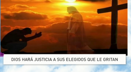 Palabra de Vida 12/11/2016: «Dios hará justicia a sus elegidos que le gritan» / Por P. Jesús Higueras
