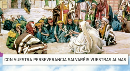 Palabra de Vida 13/11/2016: «Con vuestra perseverancia salvaréis vuestras almas» / Por P. Jesús Higueras
