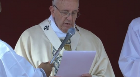 Papa Francisco en el Ángelus: «Que María nos ayude a hacer fructíferos los dones espirituales del Jubileo»