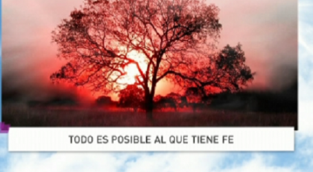 Palabra de Vida 20/2/2017: «Todo es posible al que tiene fe» / Por P. Jesús Higueras