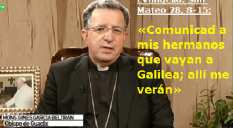 Mons. Ginés García, Obispo de Guadix / Palabra de Vida 17/4/2017: «Comunicad a mis hermanos que vayan a Galilea; allí me verán»