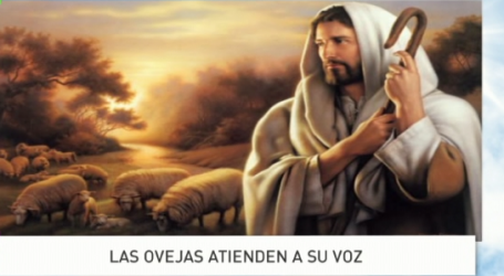 Palabra de Vida 7/5/2017: «Las ovejas atienden a su voz» / Por P. Jesús Higueras