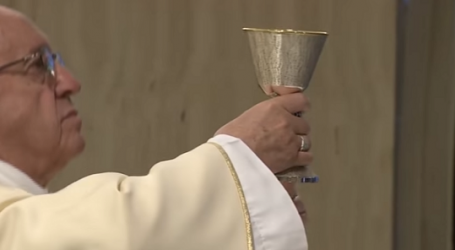 Papa Francisco / En homilía en Santa Marta 16-5-17: «Una paz sin la Cruz no es la paz de Jesús: es una paz que se puede comprar»