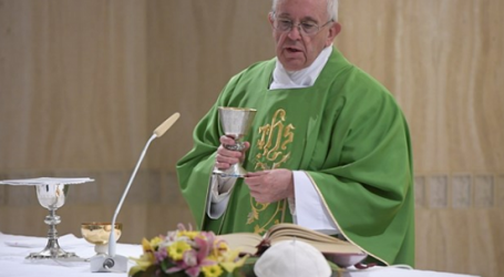 Papa Francisco / En homilía en Santa Marta 22-6-17: «Un pastor debe ser apasionado, saber discernir y denunciar el mal»