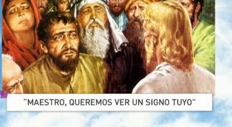 Palabra de Vida 24/7/2017: «Maestro, queremos ver un signo tuyo» / Por P. Jesús Higueras