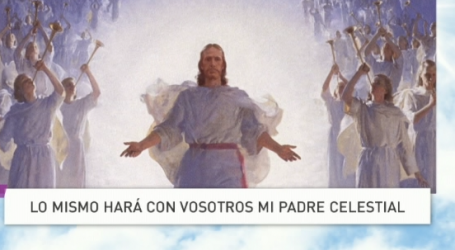 Palabra de Vida 17/8/2017: «Lo mismo hará con vosotros mi Padre celestial» / Por P. Jesús Higueras
