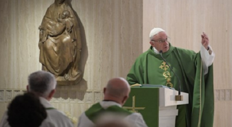 Papa Francisco en homilía en Santa Marta 5-10-17: «Una persona sin raíces, que ha olvidado sus propias raíces, está enferma»