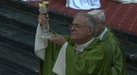 Santa Misa del domingo de la 27ª semana de Tiempo Ordinario, presidida por el obispo de Córdoba Mons. Demetrio Fernández, 8-10-17