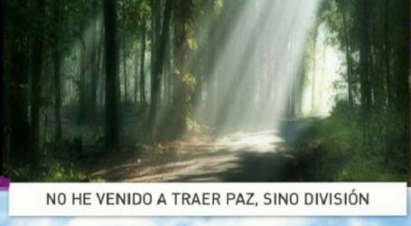 P. Jesús Higueras / Palabra de Vida 26/10/17: «No he venido a traer paz, sino división»