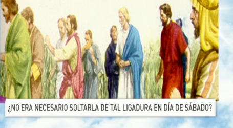 P. Jesús Higueras / Palabra de Vida 30/10/17: «¿No era necesario soltarla de tal ligadura en día de sábado?»