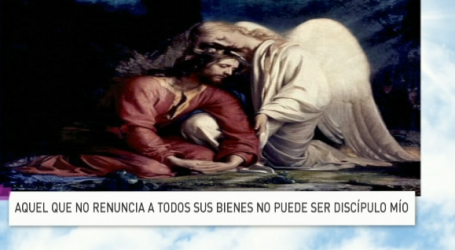 P. Jesús Higueras / Palabra de Vida 8/11/17: «Aquel que no renuncia a todos sus bienes no puede ser discípulo mío»