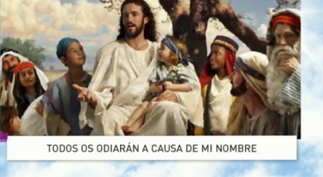 P. Jesús Higueras / Palabra de Vida 29/11/17: «Todos os odiarán a causa de mi nombre»