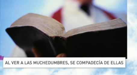P. Jesús Higueras / Palabra de Vida 9/12/17: «Al ver a las muchedumbres, se compadecía de ellas»