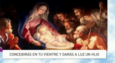 P. Jesús Higueras / Palabra de Vida 24/12/17: «Concebirás en tu vientre y darás a luz un hijo»