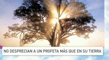 P. Jesús Higueras / Palabra de Vida 31/1/18: «No desprecian a un profeta más que en su tierra»