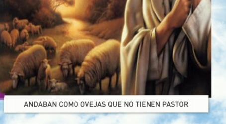 Palabra de Vida 3/2/18: «Andaban como ovejas que no tienen pastor» / Por P. Jesús Higueras