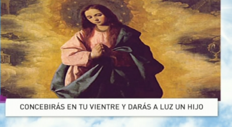 P. Jesús Higueras / Palabra de Vida 9/4/18: «Concebirás en tu vientre y darás a luz un hijo»
