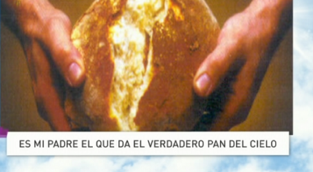 P. Jesús Higueras / Palabra de Vida 17/4/18: «Es mi Padre el que da el verdadero pan del cielo»