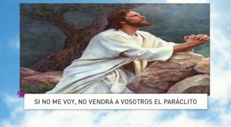 Palabra de Vida 8/5/18: «Si no me voy, no vendrá a vosotros el Paráclito» / Por P. Jesús Higueras