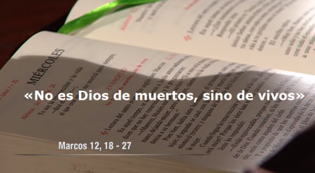 Meditación del evangelio 6/6/18: «No es Dios de muertos, sino de vivos» / Por Luis Enrique Orozco