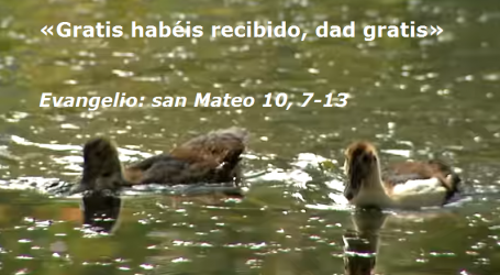 Meditación del evangelio 11/6/18: «Gratis habéis recibido, dad gratis» / Por P. Alejandro Tobón