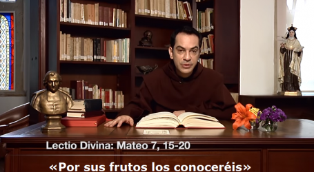 Meditación del evangelio 27/6/18: «Por sus frutos los conoceréis» / Por P. Alejandro Tobón