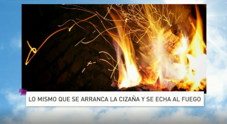 Palabra de Vida 31/7/18: «Lo mismo que se arranca la cizaña y se echa al fuego» / Por P. Jesús Higueras