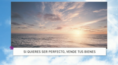 Palabra de Vida 20/8/18: «Si quieres ser perfecto, vende tus bienes» / Por P. Jesús Higueras
