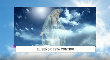 Palabra de Vida 22/8/18: «El Señor está contigo» / Por P. Jesús Higueras