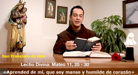 Meditación del evangelio 4/10/18: «Aprended de mí, que soy manso y humilde de corazón» / Por P. Alejandro Tobón