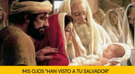 Palabra de Vida 2/2/19: «Mis ojos han visto a tu Salvador» / Por P. Jesús Higueras