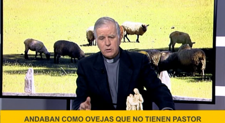 Palabra de Vida 9/2/19: «Andaban como ovejas que no tienen pastor» / Por P. Jesús Higueras