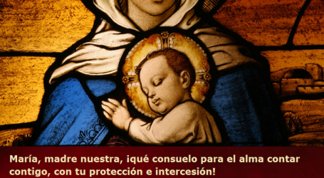 María, ¡qué consuelo para el alma contar con tu protección! / Por P. Carlos García Malo