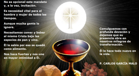 Necesitamos comer y beber al mismo Cristo bajo las especies de pan y vino / Por P. Carlos García Malo