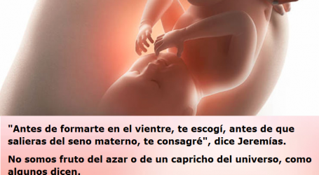 «Antes de formarte en el vientre, te escogí, antes de que salieras del seno materno, te consagré» / Por P. Carlos García Malo
