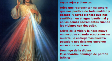Cristo es la Vida y la hace nueva en nosotros ¡Jesús, confío en Ti! / Por P. Carlos García Malo
